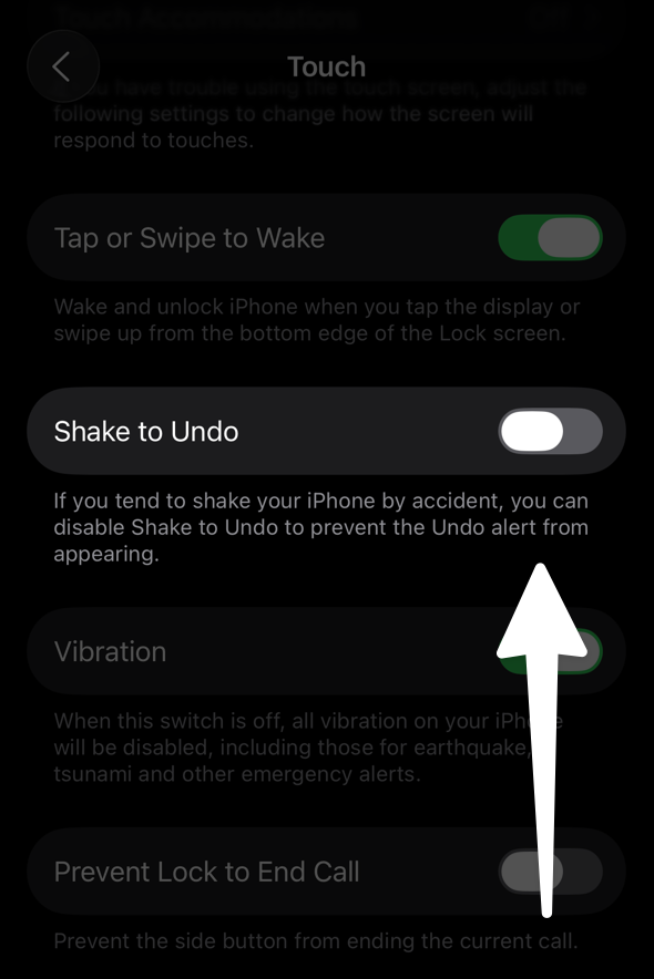 Toggle shake-to-undo in iOS settings.